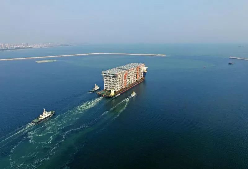 理性评估与 理性评估与